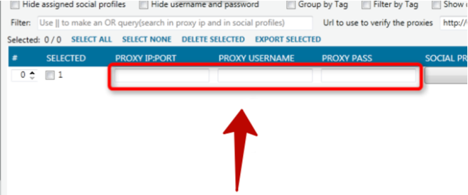 You can see the empty boxes «PROXY IP:PORT», «PROXY USERNAME» and «PROXY PASS»