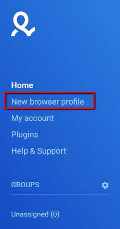 Press the «New browser profile» button on the main menu