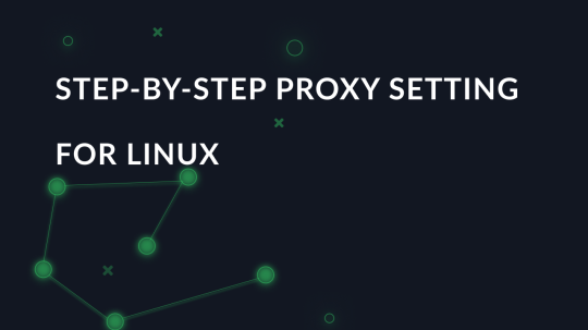 Step-by-step proxy setting for Linux