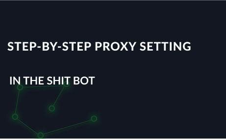 Step-by-step proxy settings manual in The Shit Bot